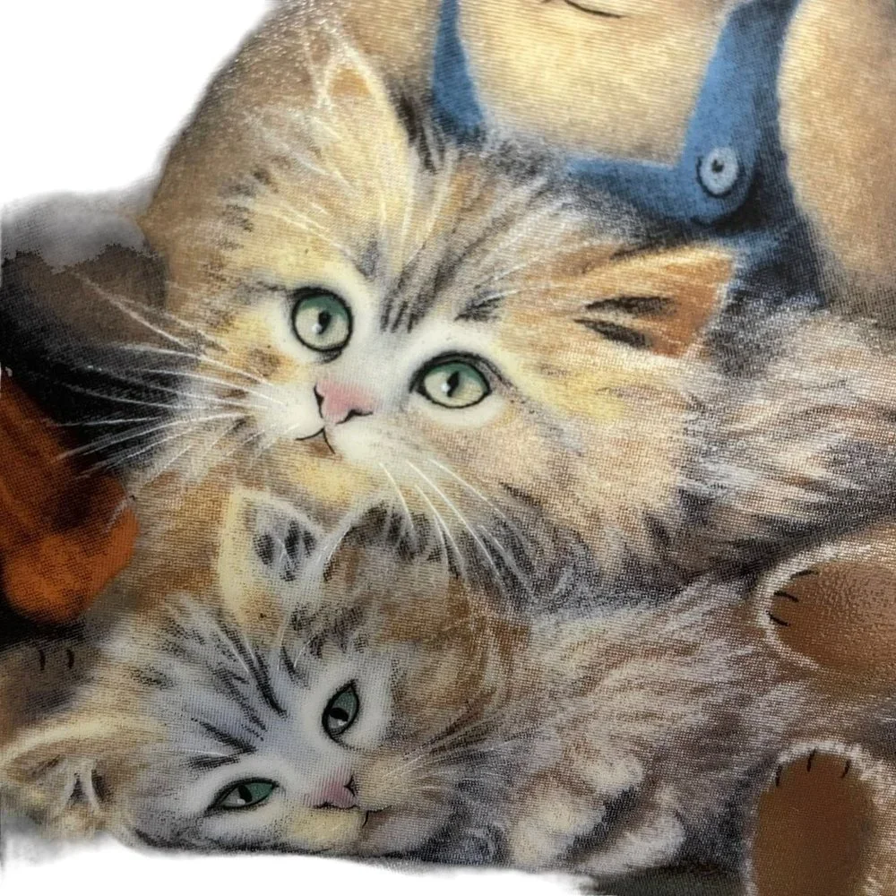Story Hour by Sue Willis Collectible Plate Teddy Bears & Kittens Limited Edition